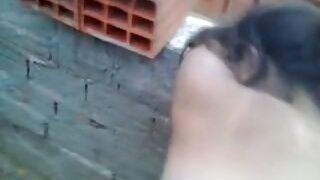 უბრალო ქათამი მარშა  ...